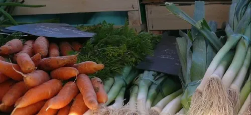 « Stop aux promotions immorales »