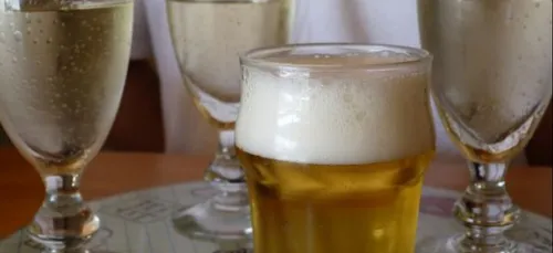 La plus grande houblonnière de Bretagne en Côtes d'Armor