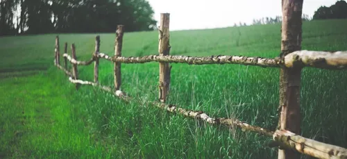 6e rencontres nationales arbres et haies champêtres à Lannion