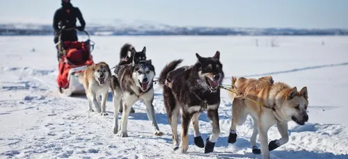 L'école primaire de Ste Marie d'Arradon mène actuellement un projet...