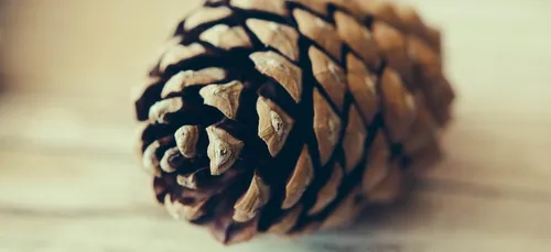 Intervention cocasse des gendarmes, mercredi sur la plage de St...