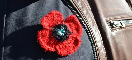 Le mouvement « Nous voulons des coquelicots » ne s'essouffle pas