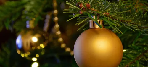 La ville de St Nazaire se propose de récupérer votre sapin de Noël
