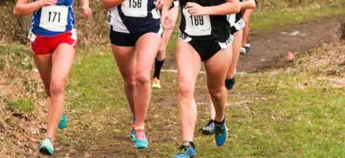 Cross-country. Questembert accueillait les Championnats du Morbihan...