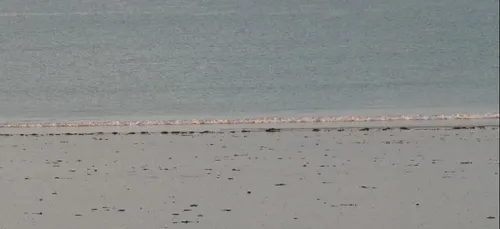 127 personnes se sont mobilisées pour nettoyer la plage de...