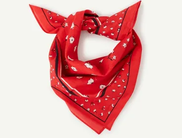 Les Foulards rouges contre la violence des gilets jaunes