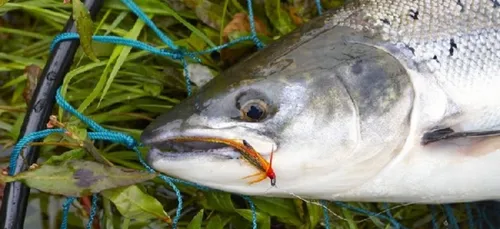 Le groupe Doux devant le tribunal correctionnel de Lorient