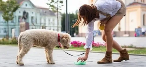 Grand Débat : Et si on parlait des crottes de chien ?