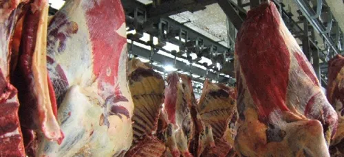 De la viande avariée retrouvée... en Ille et Vilaine