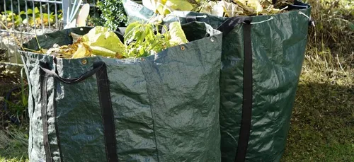 Très chère pelouse