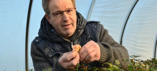 Jeudi 14 février : jour de la Saint Valentin