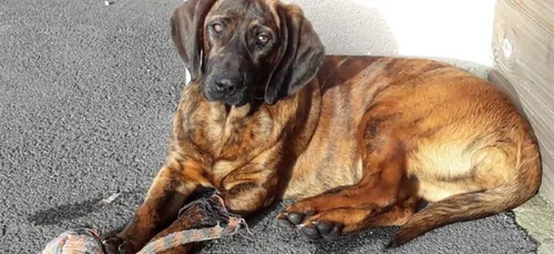 Tout est bien qui fini bien pour Onnie