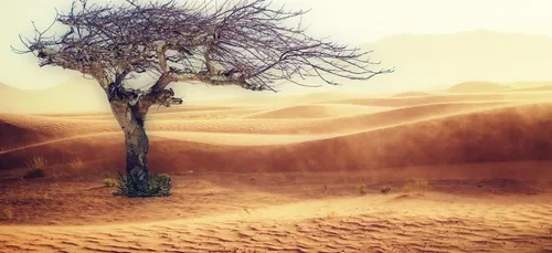 A Redon, les jeunes du lycée Saint-Sauveur se mobilisent pour le...