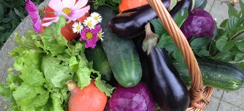 Un drive fermier à Languidic