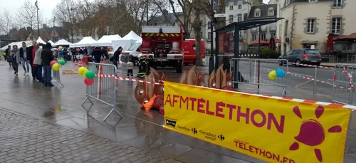 La générosité des bretons en léger recul lors du dernier Telethon