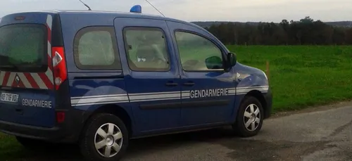 15 personnes interpellées dans le cadre d'une série de vols de...