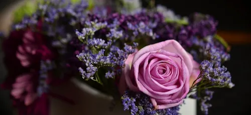 Le fleuriste pontivyen Mickaël Rault est « Meilleur ouvrier de...