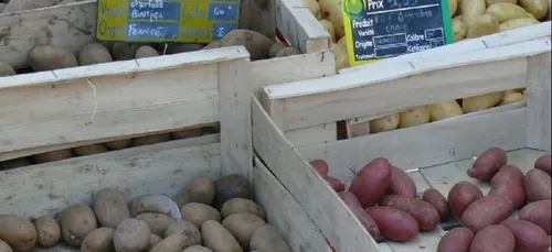 Le retour de la "Duke"