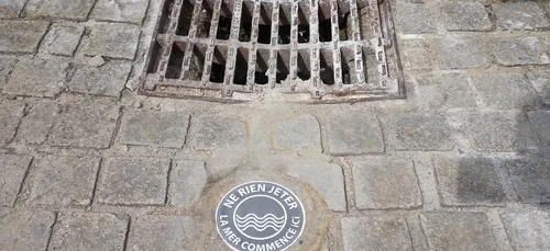 Vannes sur les pas des villes de Cannes et Collioure