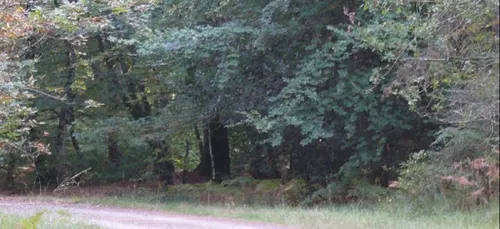 Le collectif « pour la défense de l’environnement du chemin...