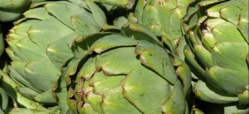 La colère des agriculteurs à Paimpol