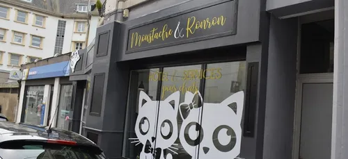 Des chambres lumineuses et design, une réception accueillante, des...