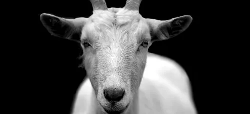 La mairie de Plougoumelen a lancé un appel surprenant