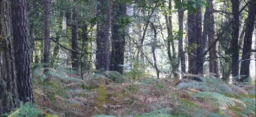 « La Balade du père Nicolas » à Pluméliau rouvre ses portes samedi