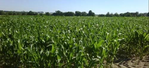 L'inquiétude de certains agriculteurs costarmoricains