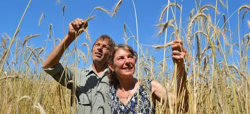 Les pailles, et si on arrêtait le plastique ?