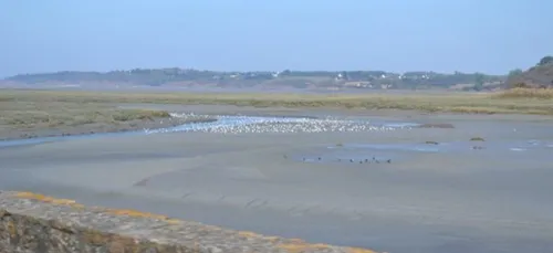 « L’extraction de sable coquillier en baie de Lannion est une...