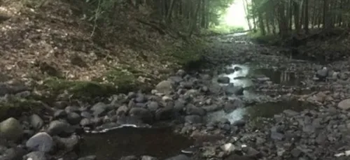 La sécheresse s'accentue en Loire-Atlantique