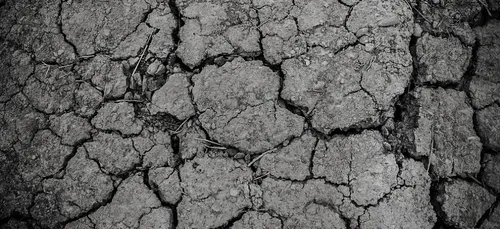 La sécheresse s'aggrave en Loire-Atlantique
