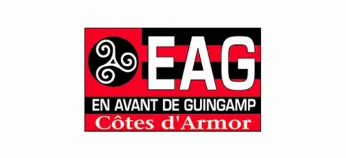 Foot. Nouveau raté de Guingamp