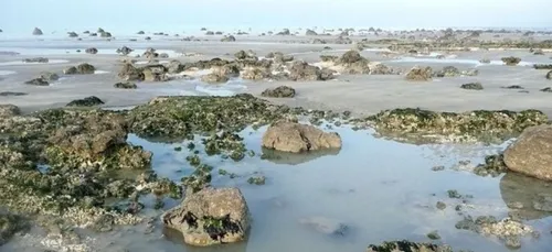 Grandes marées d'équinoxes aujourd'hui et jusqu'à dimanche