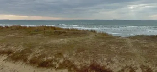 C'est la fête ce WE sur le site dunaire Gâvres-Quiberon