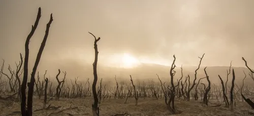 Nouvelle journée de mobilisation « pour le Climat »