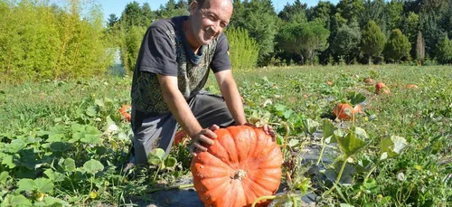 Et si on mangeait sainement cette semaine ?