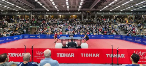 Tennis de Table. Soirée Ligue des Champions pour Hennebont