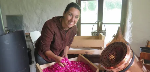 LES BIENFAITS DES PLANTES MEDICINALES, UNE CHRONIQUE PROPOSEE PAR...