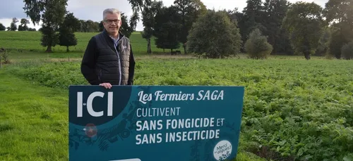 Quand les algues permettent de réduire l'utilisation des pesticides 