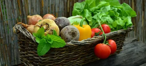 Retour du marché bio à Lorient