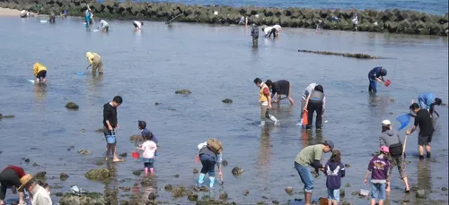 Trop de pêcheurs à pied ne respectent pas la réglementation