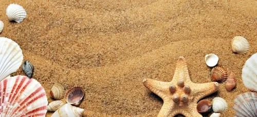 Au Porzou à Concarneau , la plage est interdite