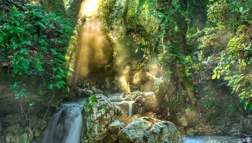 Projet de territoire pour l'eau sur le bassin du Scorff dans le...