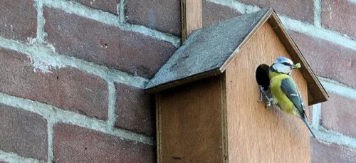 Qui veut devenir refuge LPO et agir pour la biodiversité ? c'est...