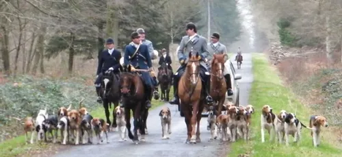 Un militant anti-chasse poursuivi pour diffamation