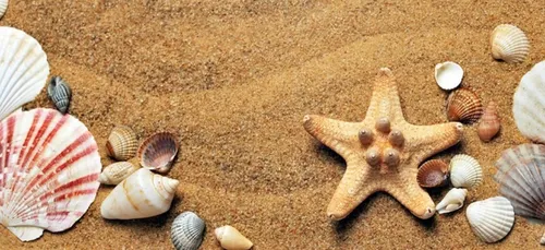 La plage de Kerfany à Moëlan-sur-mer en travaux