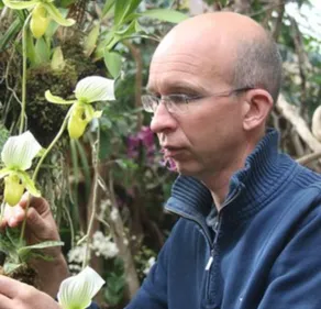 Préparer son jardin pour l'hiver : les conseils du spécialiste et...