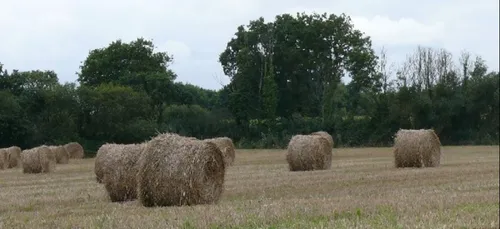 “Non à l'agri-bashing”!